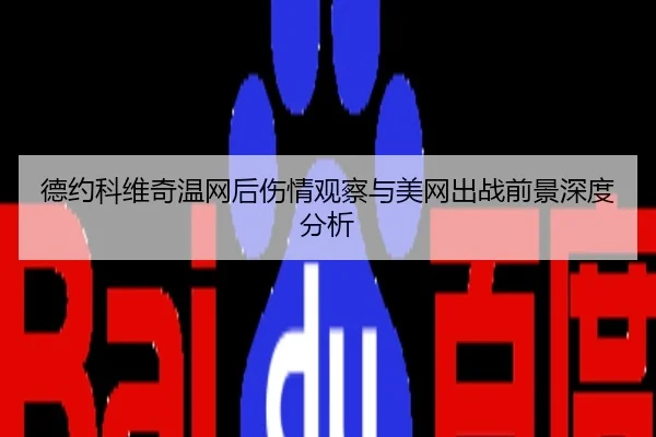 德约科维奇温网后伤情观察与美网出战前景深度分析